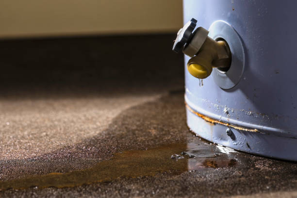 Best 24-hour water damage restoration  in Pawnee, IL