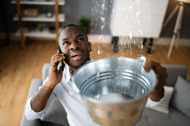 Best Commercial water damage restoration  in Pawnee, IL
