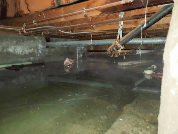Professional Water damage restoration in Pawnee, IL