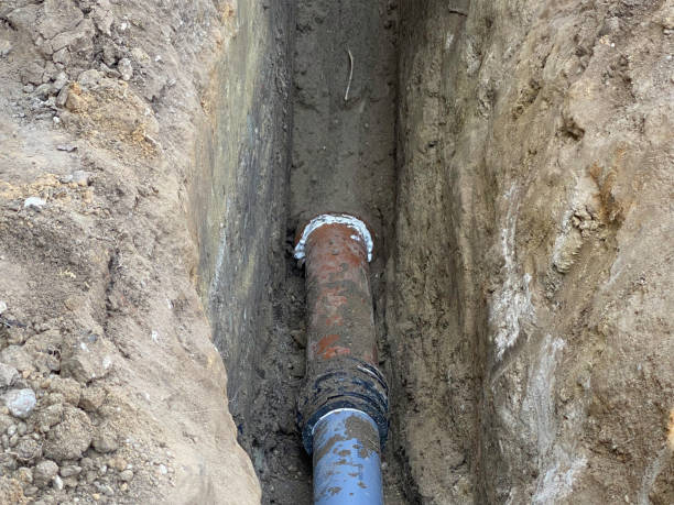 Best Flood restoration services  in Pawnee, IL