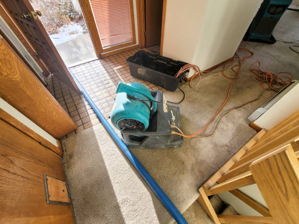 Best Water damage restoration near me  in Pawnee, IL