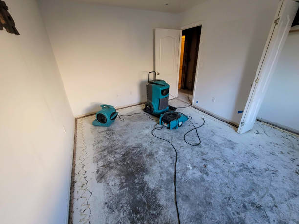 Sewage cleanup and water damage restoration in Pawnee, IL