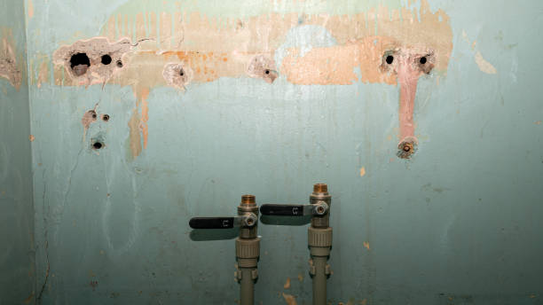 Best Water damage restoration company  in Pawnee, IL