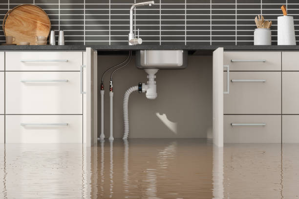Best Sewage cleanup and water damage restoration  in Pawnee, IL