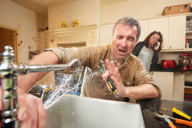 Best Flooded house restoration  in Pawnee, IL